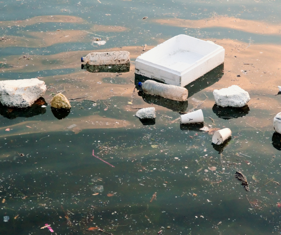 Untitled design (19).png