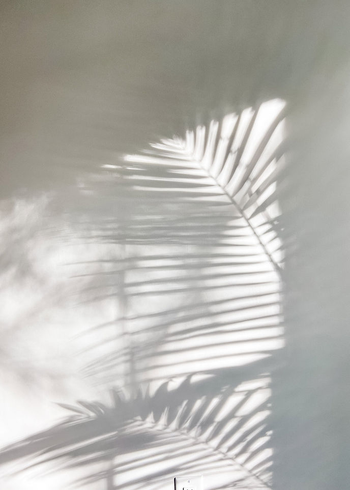Elevae_23_006277-1.jpg