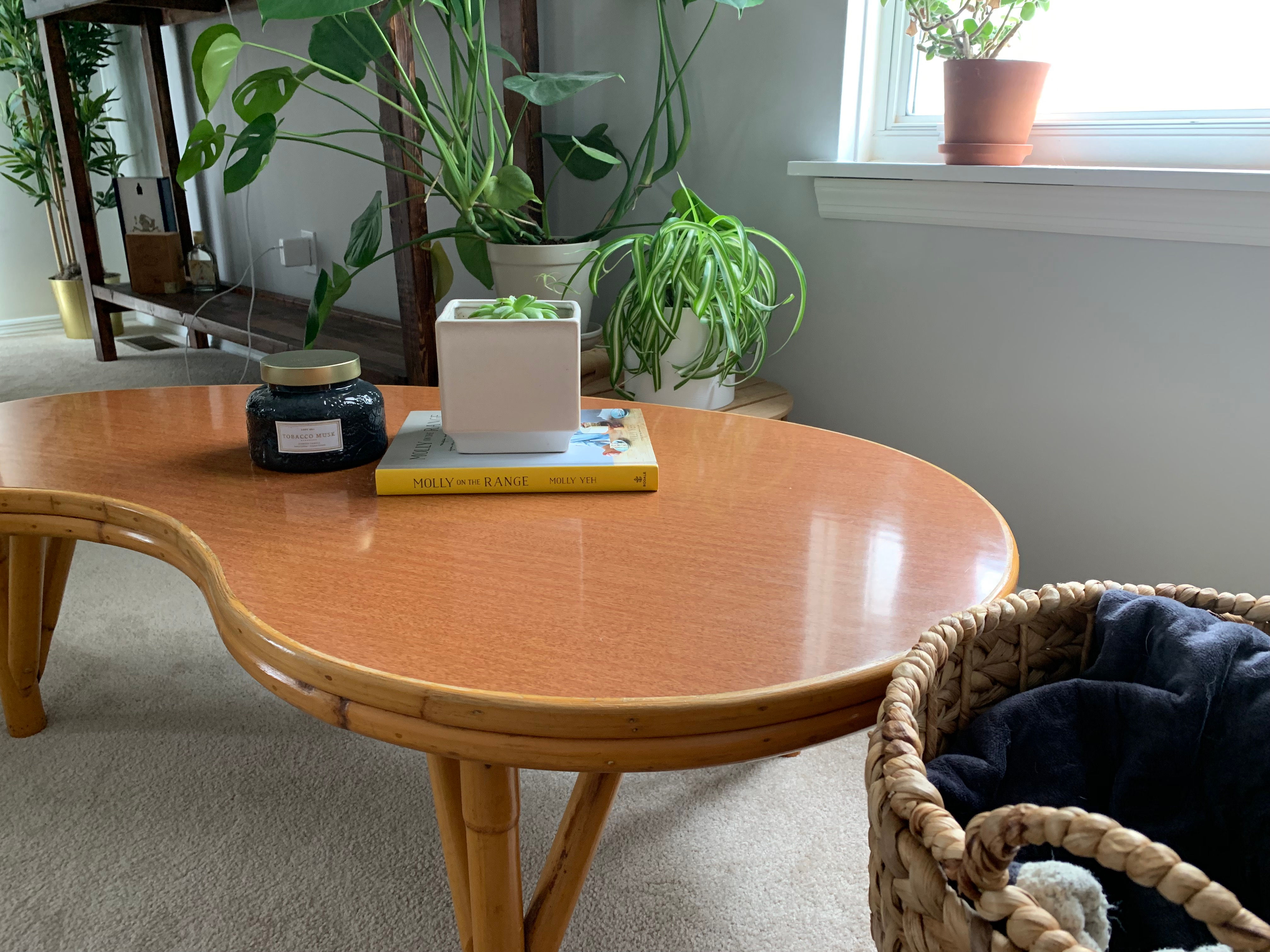 Bohemian Vintage Bamboo Coffee or Cocktail Table