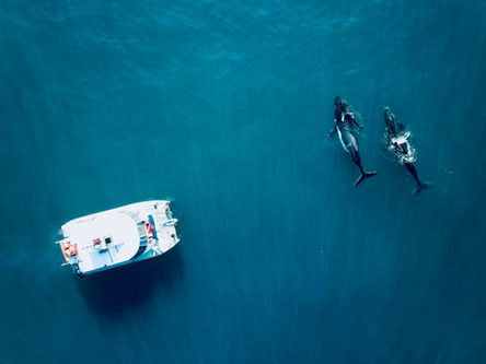 DJI_0822