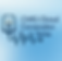 Clinical Conversation Series