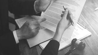 Judges Examining Document