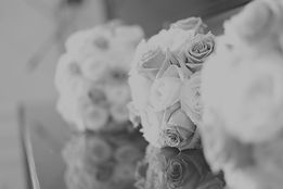 _A9A0040_edited.jpg
