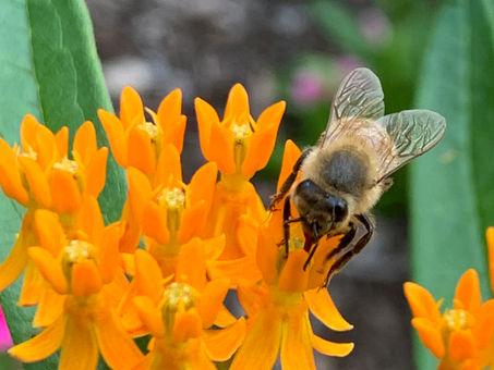 Photo Jul 05, 5 44 41 PM.jpg