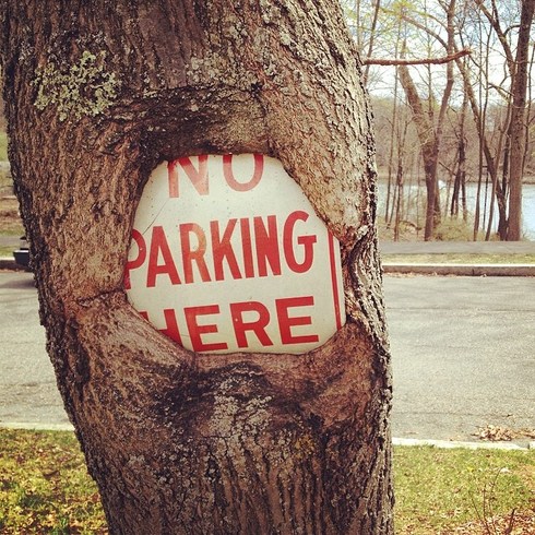 When Nature Fights Back