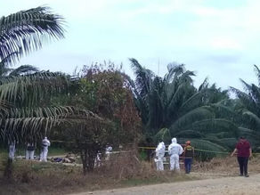 Cuatro Cuerpos Abandonados en la Trocha Primero de Mayo: Tercera Masacre en Cúcuta este Año