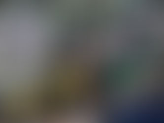 Los periodistas no se salvaron. Durante el partido entre "Nacional" y "Medellín" el equipo de prensa