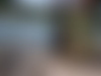 Sentimiento agridulce de cientos de venezolanos en frontera de EEUU