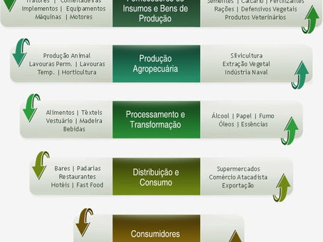 Um novo agronegócio é necessário