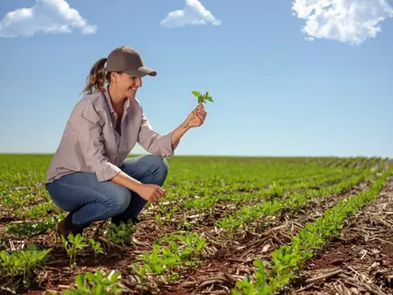 Financiamento no Agro: Como o Mercado Está Se Adaptando à Crise de Crédito
