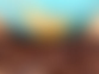 Exportações de café aumentaram 13,9% em 2019