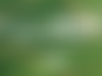 #07 semanAGRO: dados do Censo, investimento brasileiro na Arábia, queda da Selic, preço do boi…