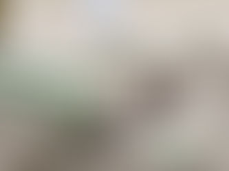 A paralisação dos caminhoneiros e o impacto na avicultura