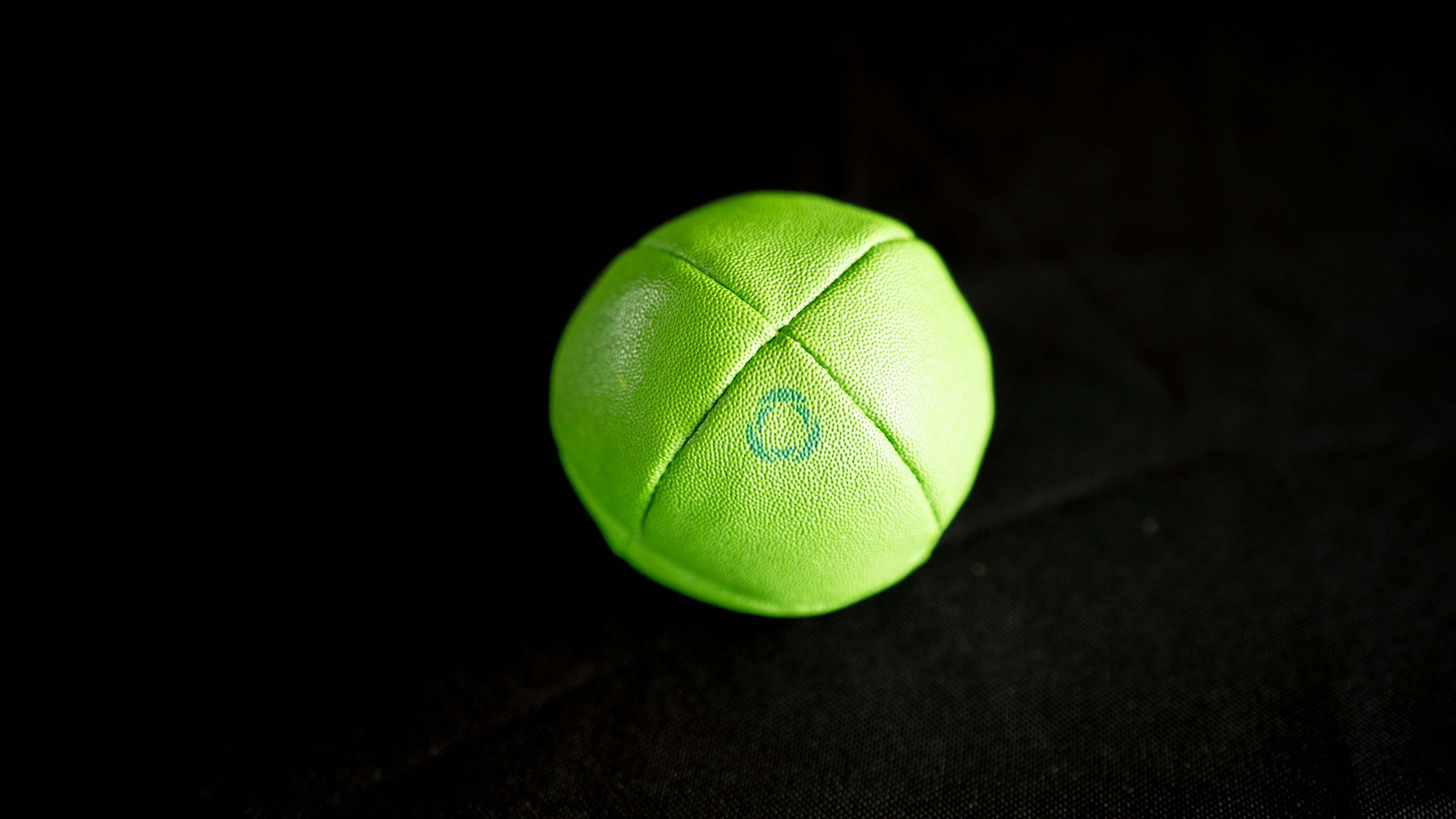 Gecko Green Pro Beanbag - Single Ball