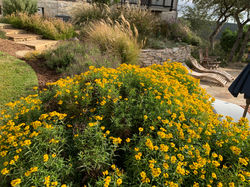 New Braunfels Landscaping and Design