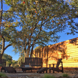 New Braunfels Landscaping and Design