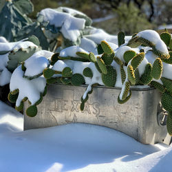 New Braunfels Landscaping and Design