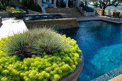 New Braunfels Landscaping and Design