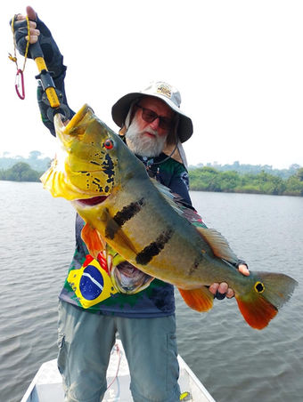 Milton Fielding holding a peacock bass with fishing lure on an Amazon river in Brazil