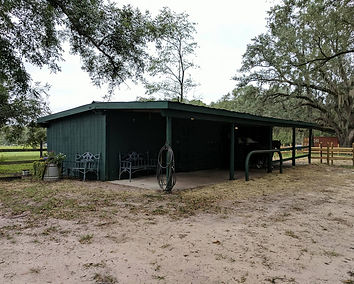 Horse boarding Thomasville