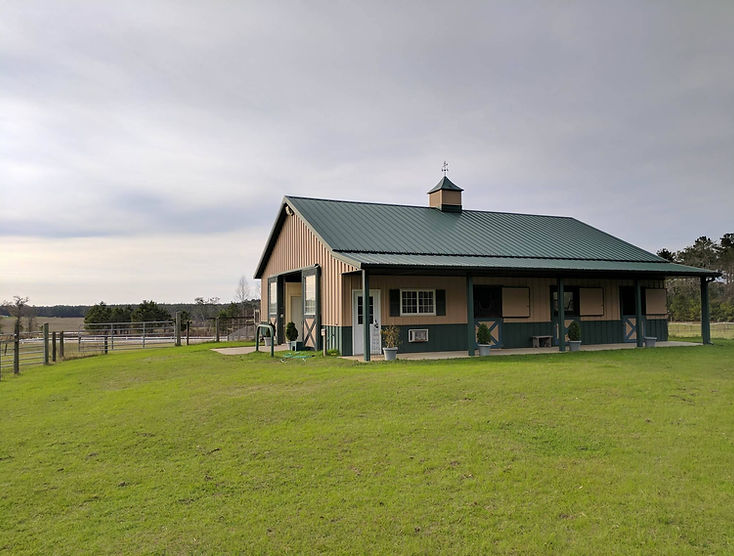 Horse boarding Thomasville