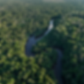 8.png