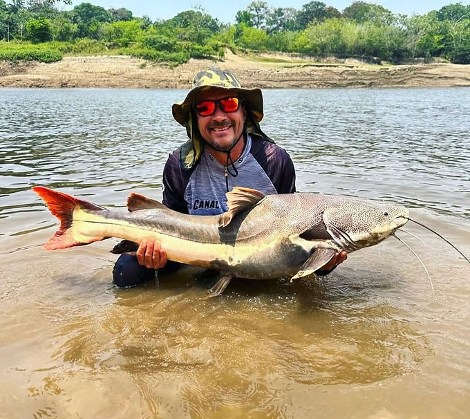 catfish-amazon-river-brazil-01.jpg