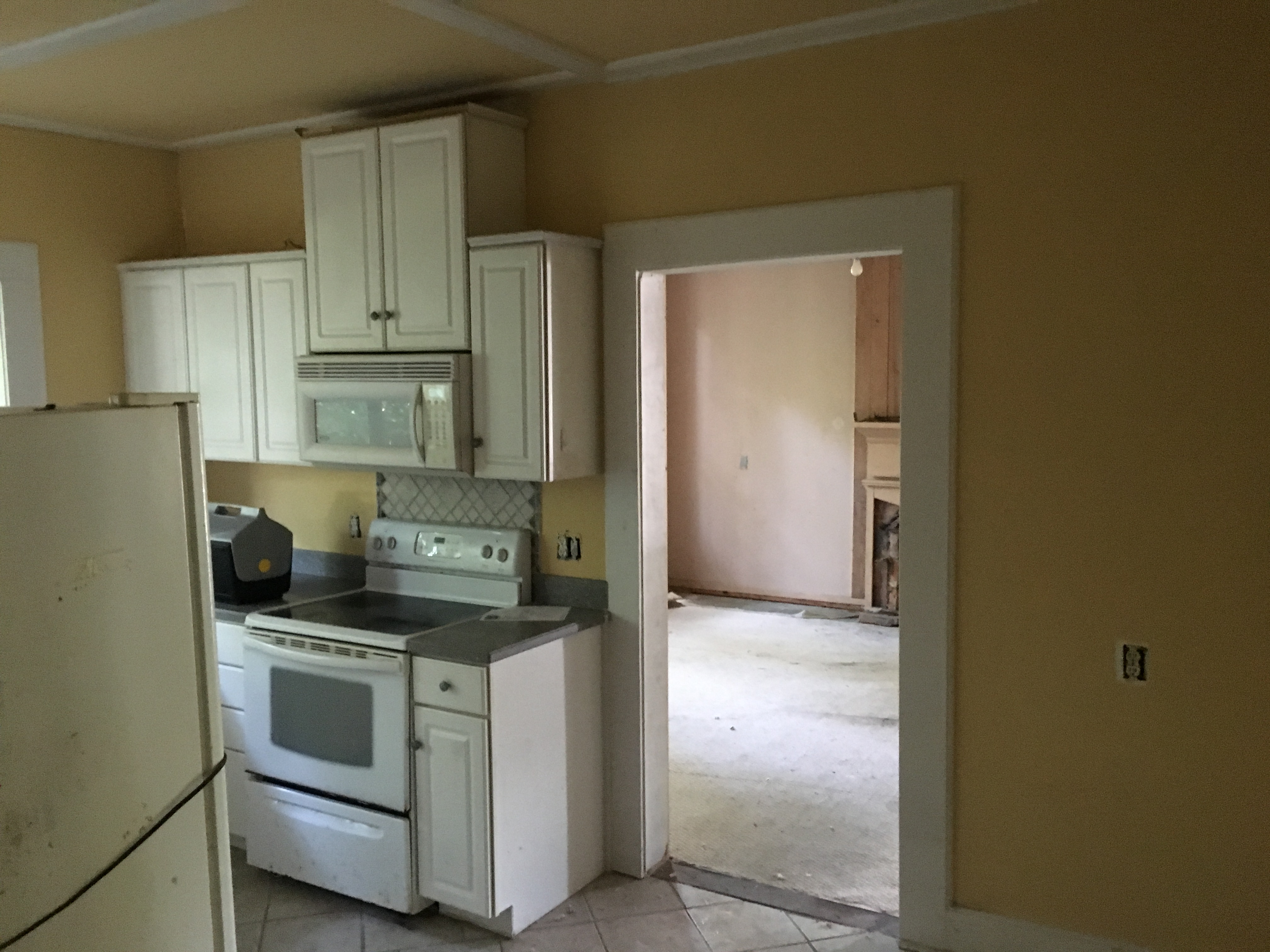 Historic Preservation - Before