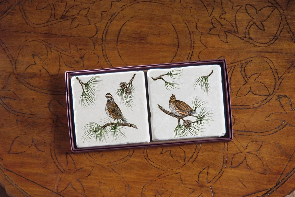 Coasters (Set of 2)