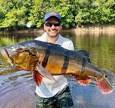 peacock-bass-mutuca-river-brazil-02