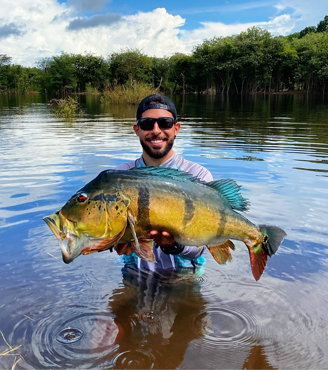 peacock-bass-amazon-river-brazil-15.png