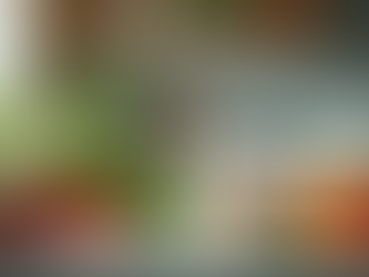 Steps to Design a Meal Plan That Fits Your Lifestyle