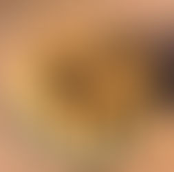 Holiday Spice Gingerbread Cookies