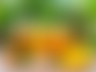 A Comprehensive Look at Holistic Nutrition Principles