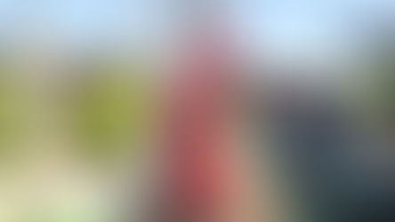 מהכלוב אל החופש, הסיפור של נאק נאק שלנו 🐓✨