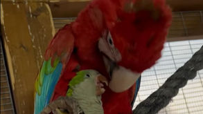 לא, זאת לא בינה מלאכותית, זה המקום שלנו 🤍🌿