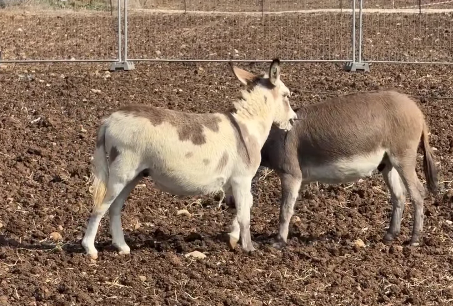 3 טיפים להרגעה בממ"ד