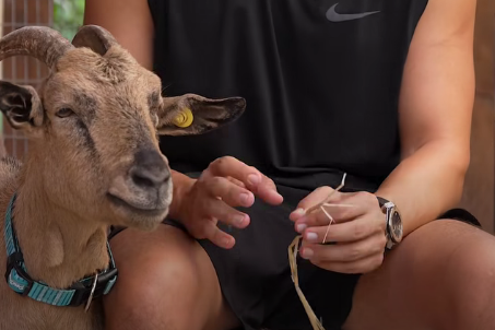 תכירו את אריקה💫