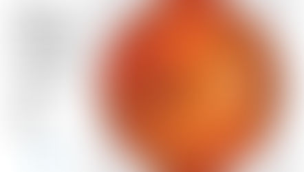 "What Do My Retina Photos Tell You?"