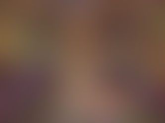 Light Literally In Monet Paintings