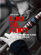 ALMA DEL VIENTO PORTFOLIO.png