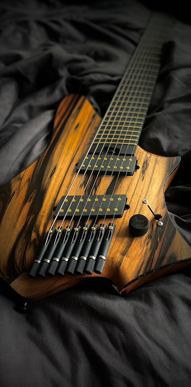 Xolo Custom Guitars