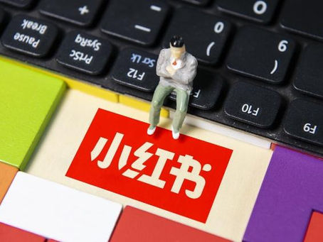 小红书高效种草技巧