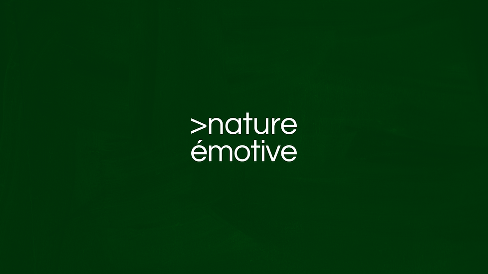 NE_brochure_v6.png