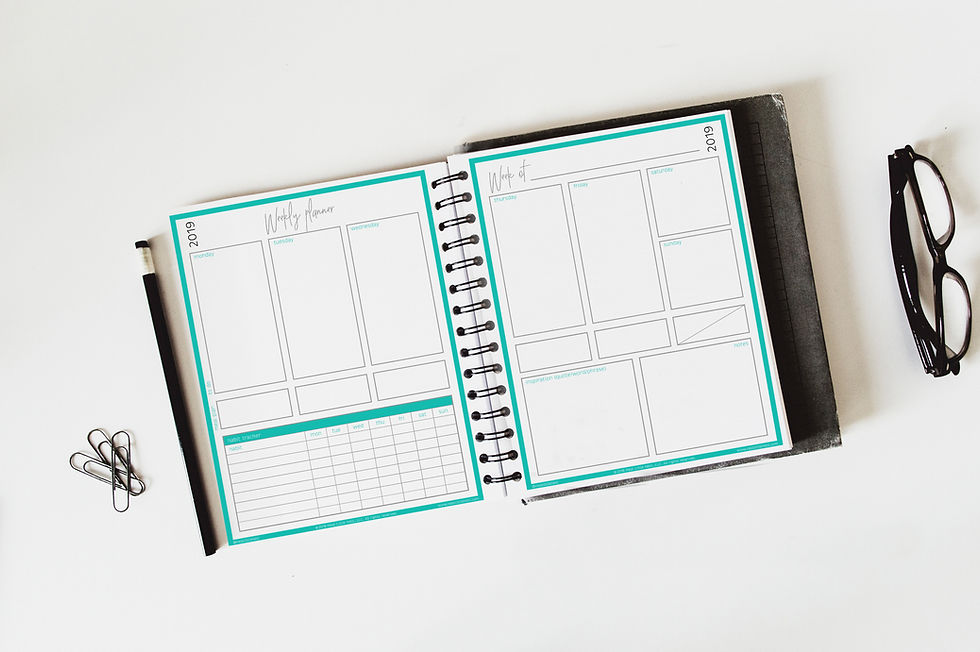 Weekly Success Planner | Neat Little Nest