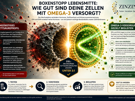 Zinzino Infografik zur Omega-3-Versorgung, Zellgesundheit und Fettsäurebalance in der Lebensmitte mit BalanceTest und Omega-3-Begleitung.