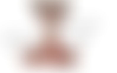 The Neck - lower rear