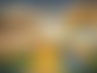 The “Social” in ESG: How Human Capital and Culture Influence Financial Reporting