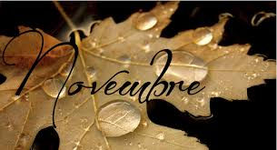 Recommandations pour le mois de Novembre.