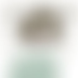 "Saison d' Eriko 中村江里子のデイリー・スタイル Vol.13"